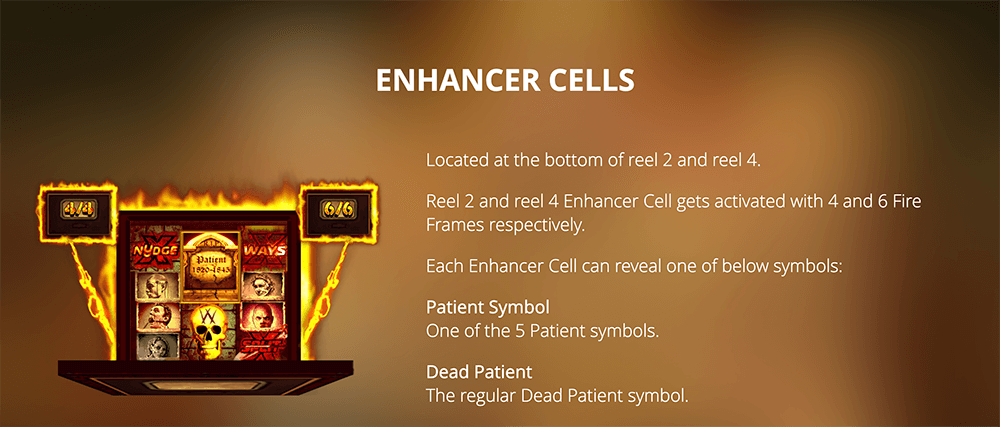 Enhancer Cells Enhancer Cells